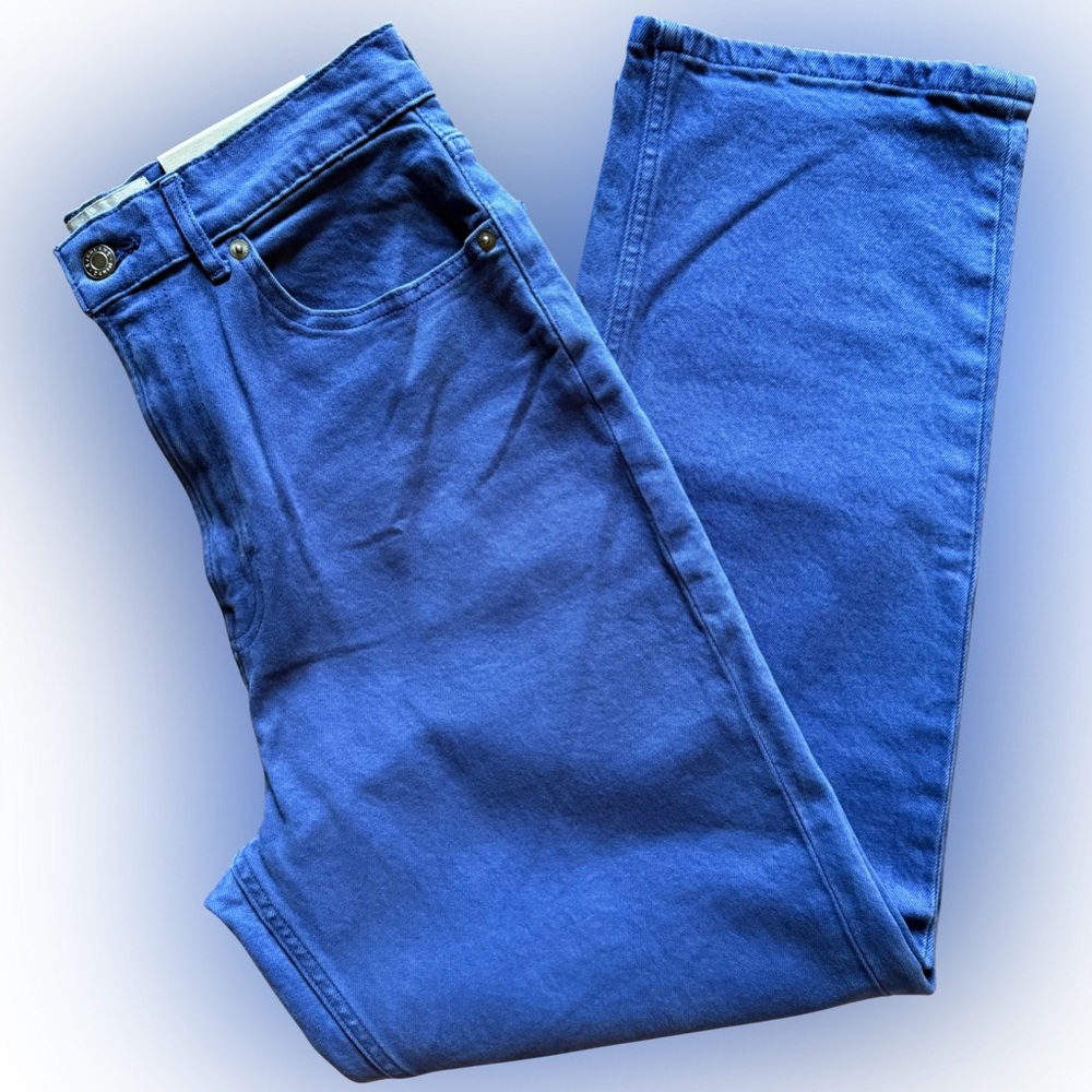 Everlane The Way-High Jean Straight Leg Low Stretch Blue Size 30 Organic Cotton